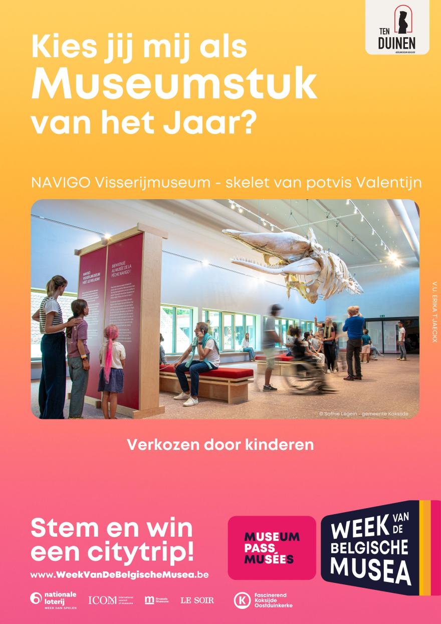 Skelet van potvis Valentijn – NAVIGO Visserijmuseum