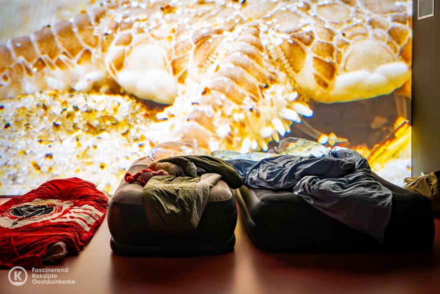 Een nacht in het museum 2026